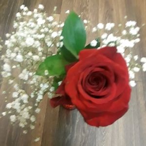 Meet your Posher, Claudia